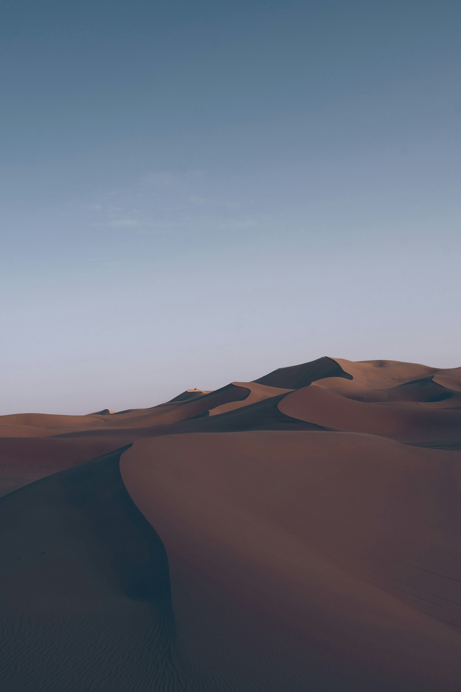 Sahara dunes beneath a clear sky